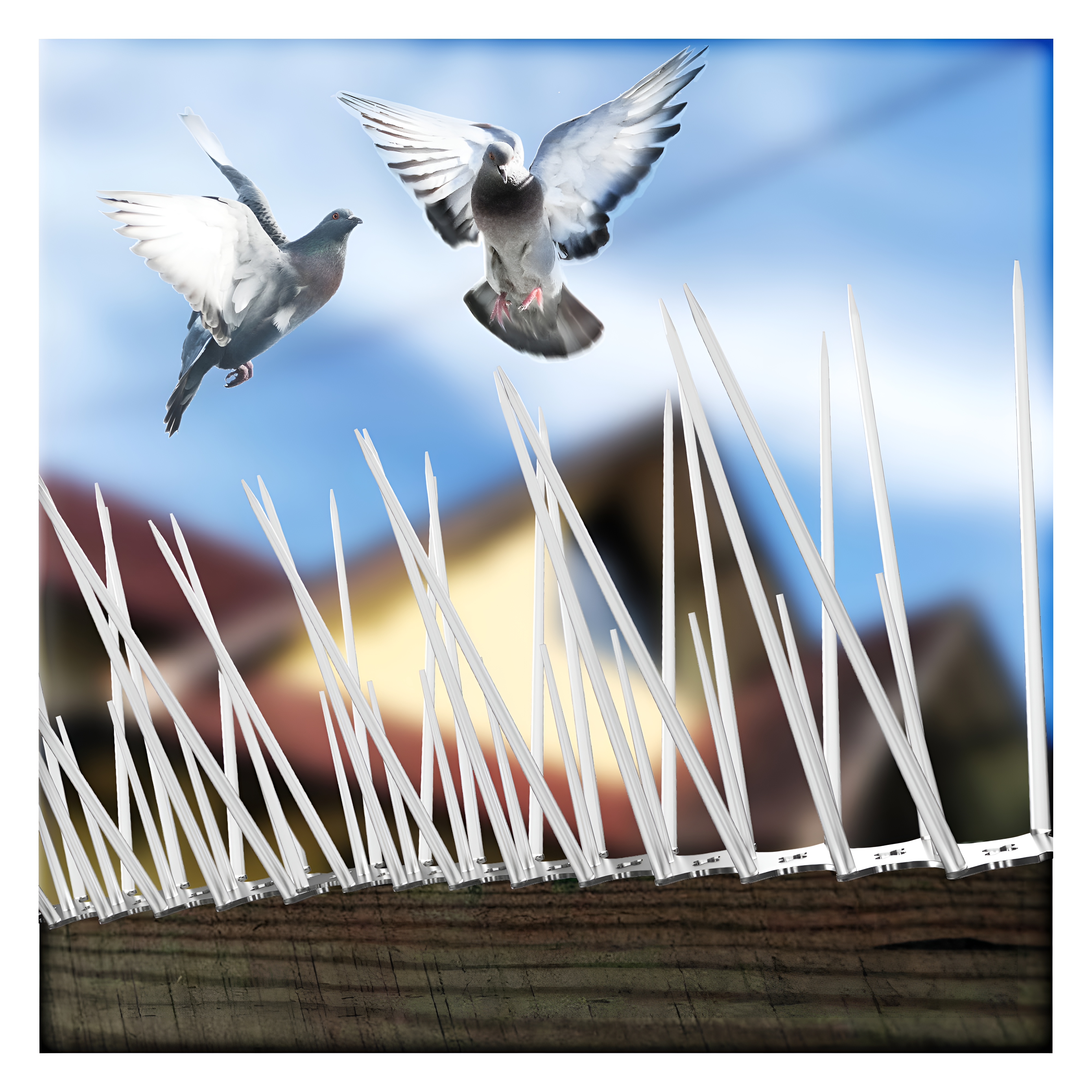 Bird Spikes Installation on Ledge by AS Enterprises